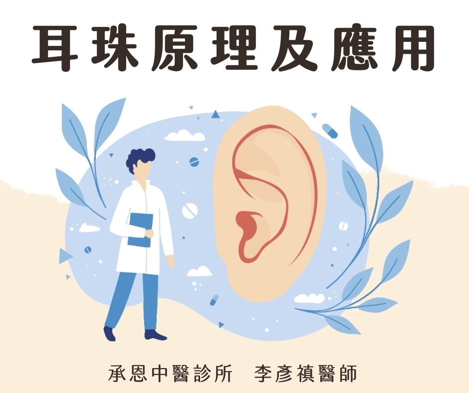 中醫耳珠
